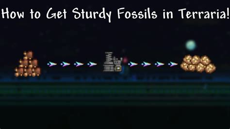 how to get sturdy fossil.